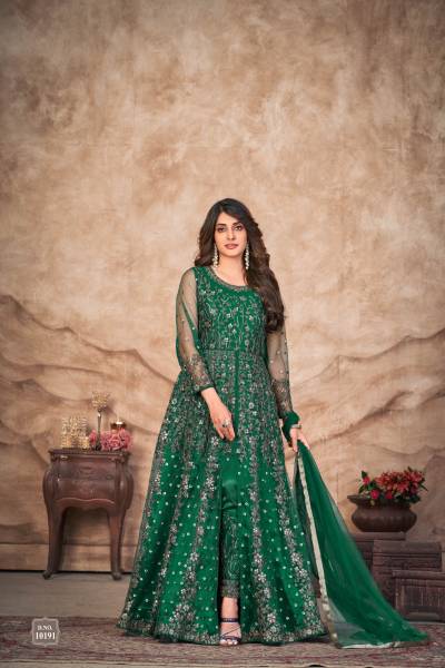 ANJUBAA VOL 19 BY DANI CREATION DESIGNER NET GOWN WHOLESALER IN INDIA